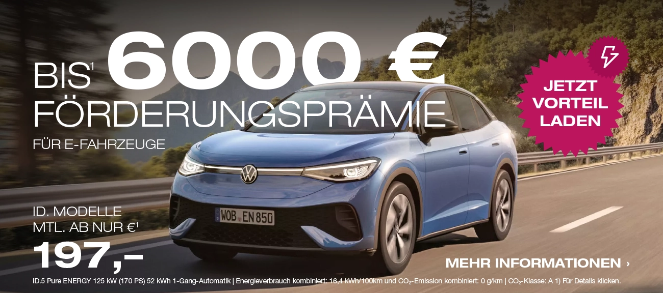 E-Fahrzeug Förderprämie